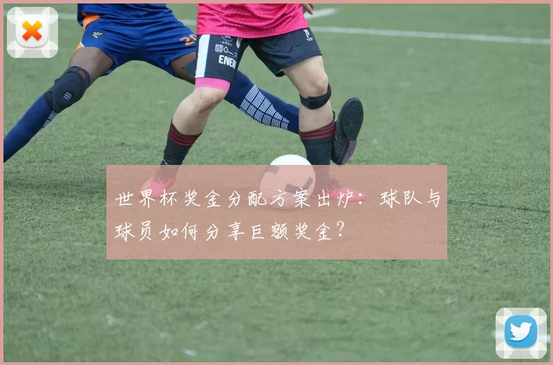 世界杯奖金分配方案出炉:球队与球员如何分享巨额奖金?