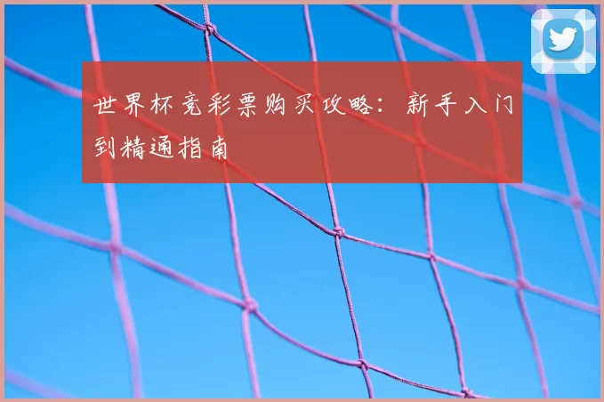 世界杯竞彩票购买攻略:新手入门到精通指南