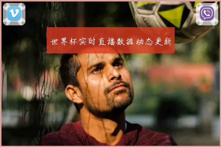 世界杯实时直播数据动态更新