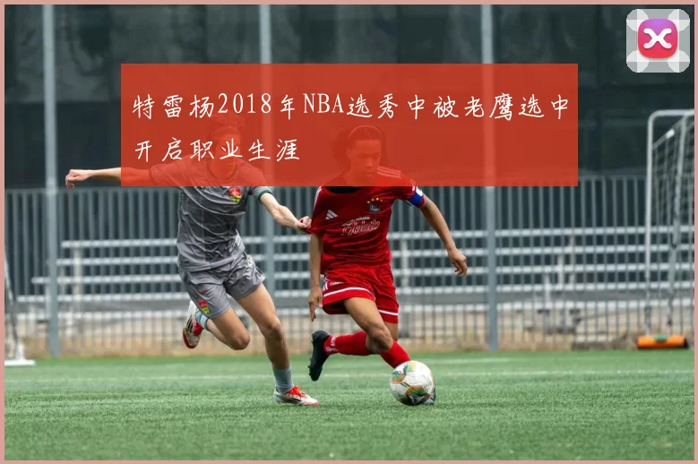 特雷杨2018年NBA选秀中被老鹰选中开启职业生涯