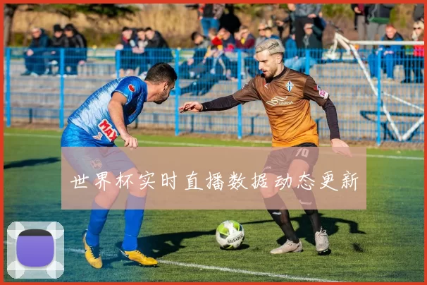 世界杯实时直播数据动态更新
