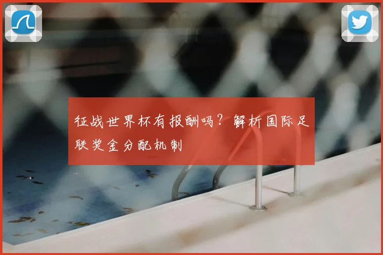征战世界杯有报酬吗?解析国际足联奖金分配机制
