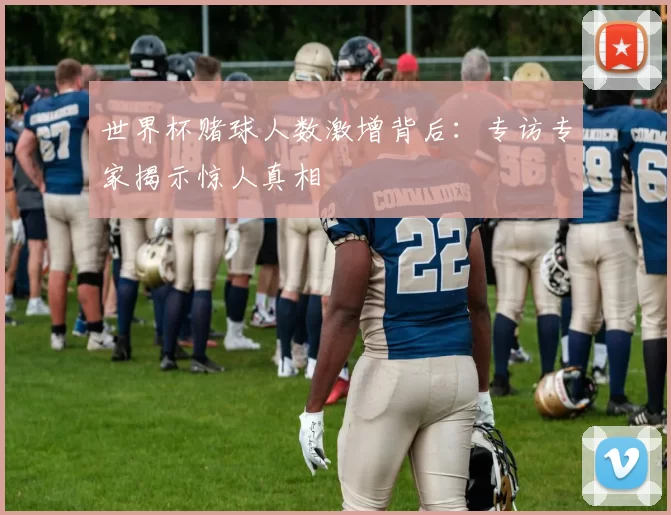 世界杯赌球人数激增背后：专访专家揭示惊人真相