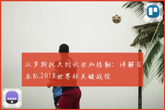 从罗斯托夫到伏尔加格勒:详解日本队2018世界杯关键战役