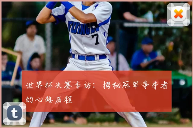 世界杯决赛专访：揭秘冠军争夺者的心路历程