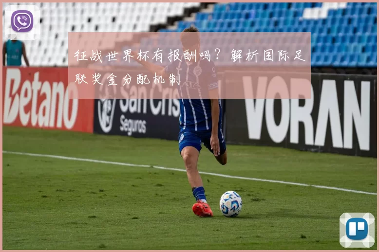 征战世界杯有报酬吗?解析国际足联奖金分配机制