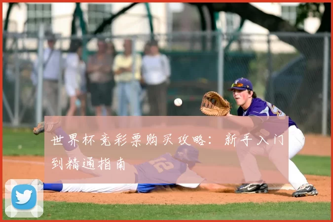 世界杯竞彩票购买攻略：新手入门到精通指南