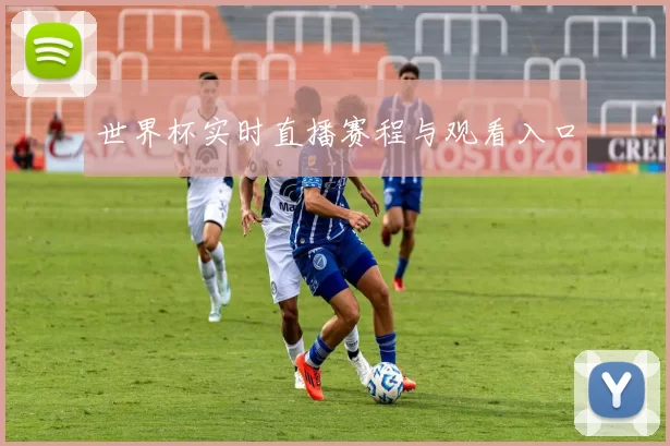 世界杯实时直播赛程与观看入口
